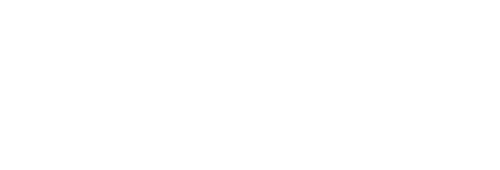 light logo